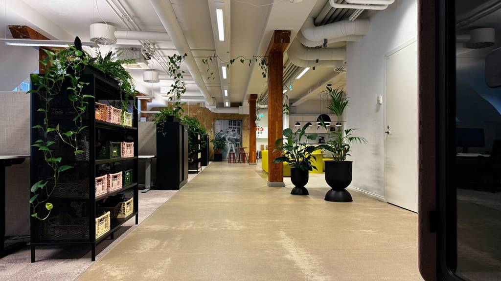 Kuva 4 Köydenpunojankatu 2 a