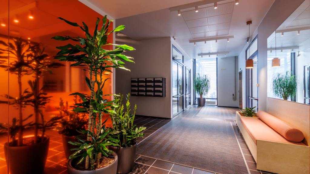 Kuva 4 Pakkalankuja 7