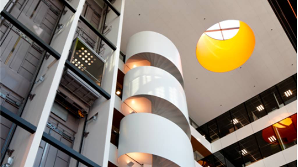 Kuva 16 Hermannin rantatie 8 (kasvu)