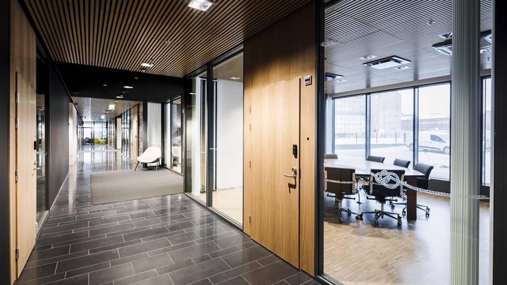 Kuva 17 Hermannin rantatie 8 (kasvu)