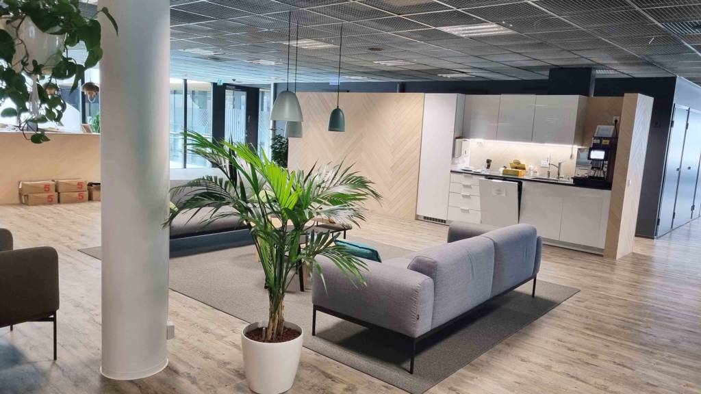 Kuva 4 Hermannin rantatie 8 (kasvu)