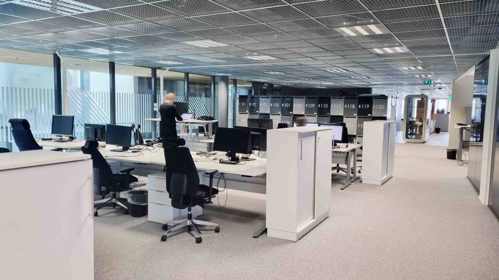 Kuva 11 Hermannin rantatie 8 (kasvu)