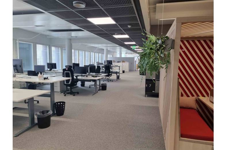 Hermannin rantatie 8 (kasvu)