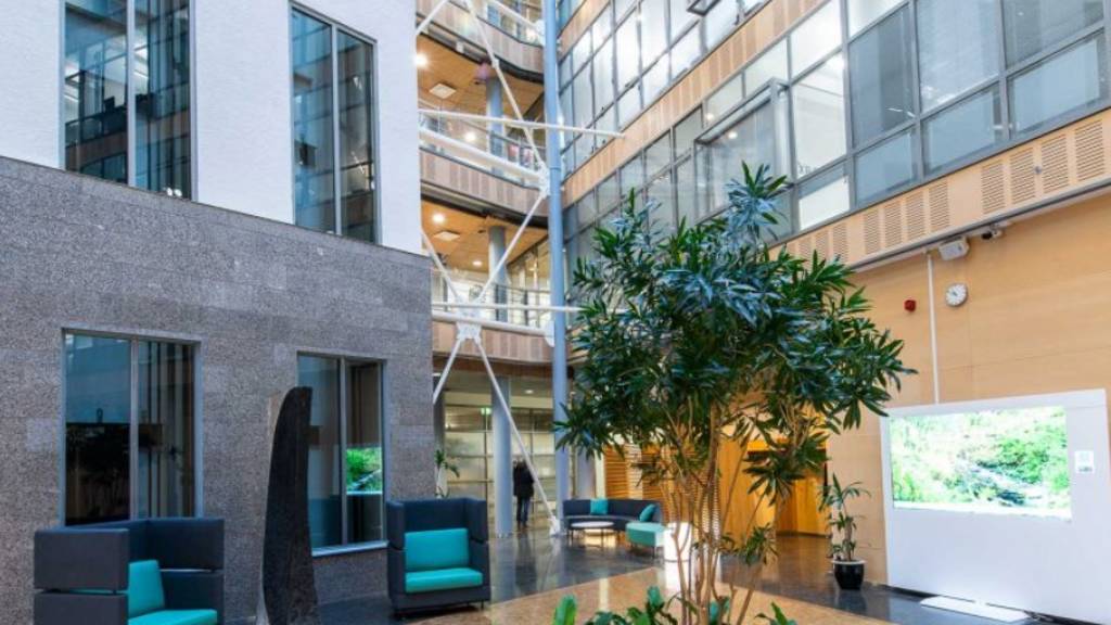 Kuva 6 Mechelininkatu 1 a