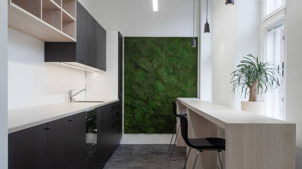 Kuva 9 Dagmarinkatu 6