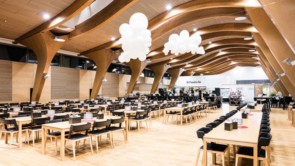 Kuva 10 Revontulenpuisto 2