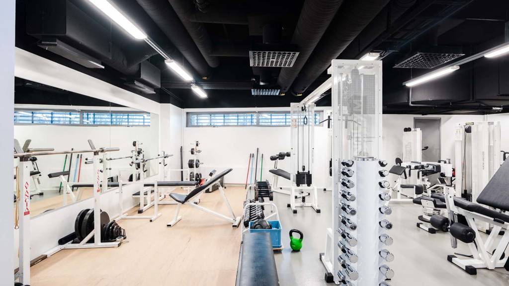 Kuva 14 Revontulenpuisto 2