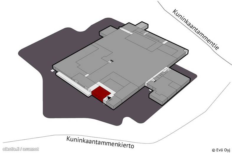 Kuninkaantammenkierto 3