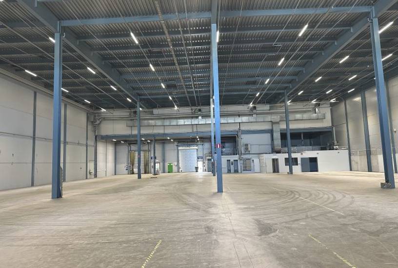 Vihiojantie 1, Nekala