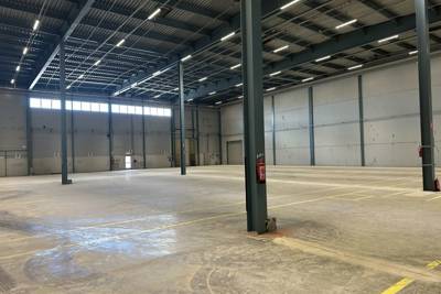 Vihiojantie 1, Nekala