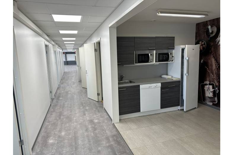 Vihiojantie 1, Nekala