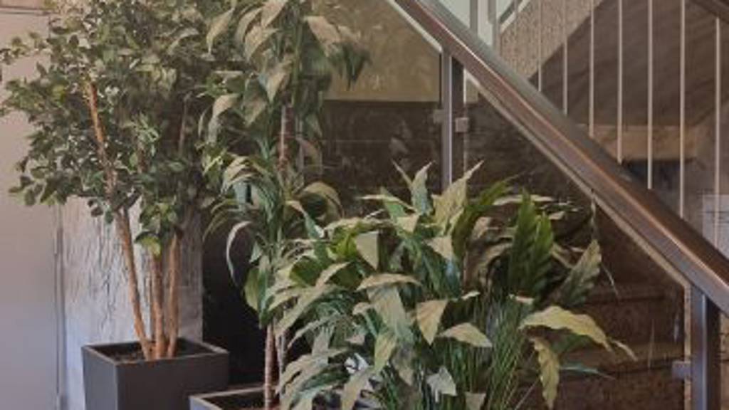 Vallikallionkatu 1, Vallikallio