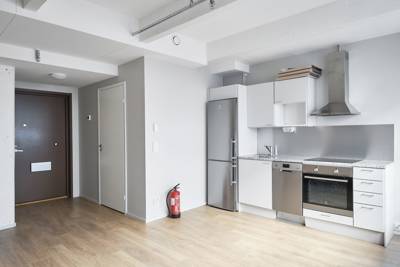 Kalliolanrinne 4, Alppiharju