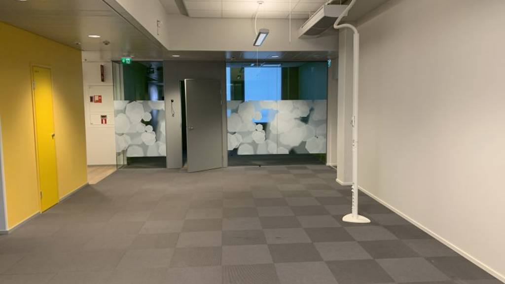 Bertel Jungin aukio 1