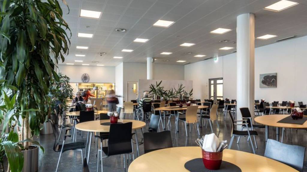 Eliel Saarisen tie 2