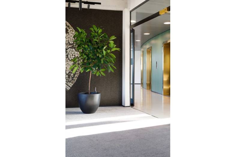 Siltasaarenkatu 18-20