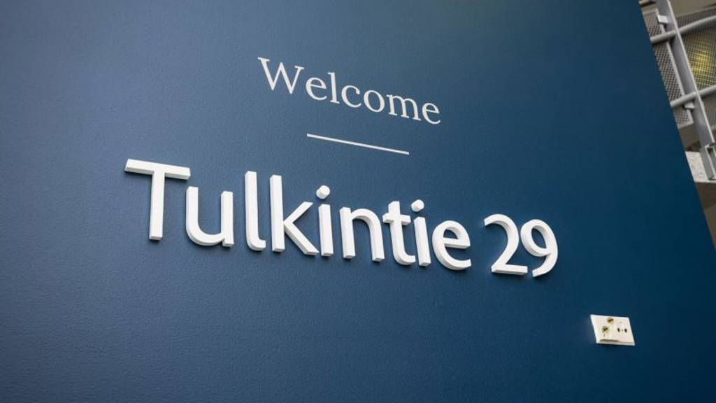 Tulkintie 29