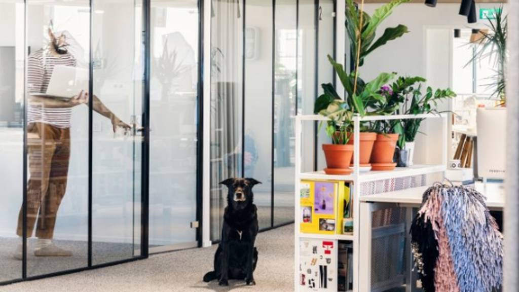 Siltasaarenkatu 18-20