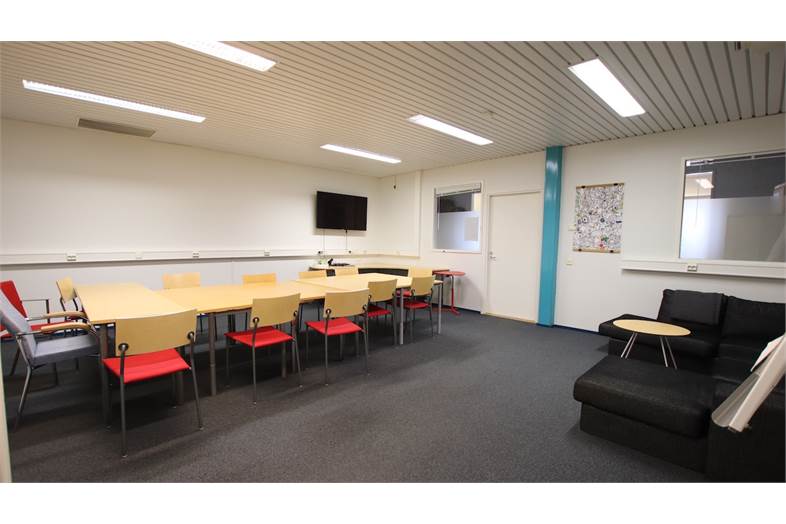 Hallimestarinkatu 17 A