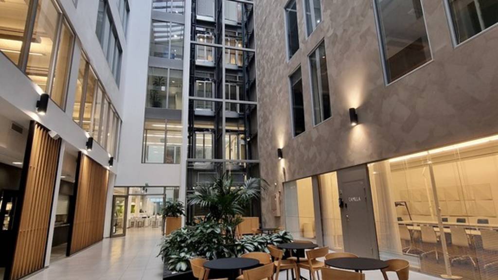 Bertel Jungin aukio 3