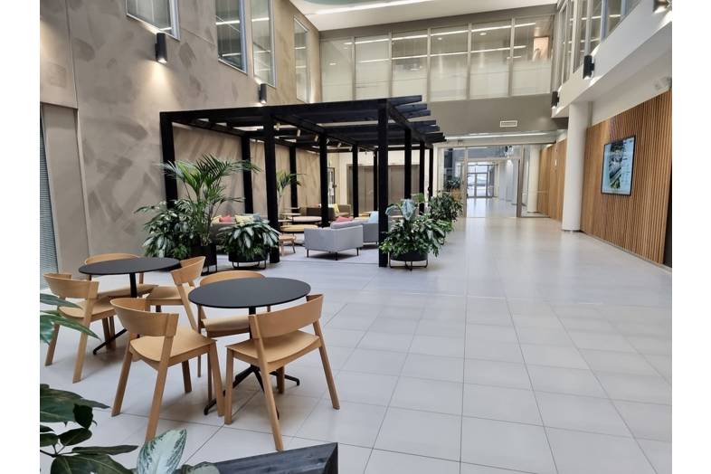 Bertel Jungin aukio 3