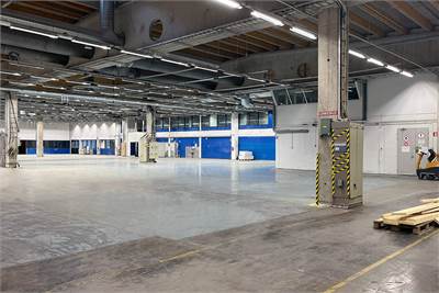 Kuninkaantammenkierto 3