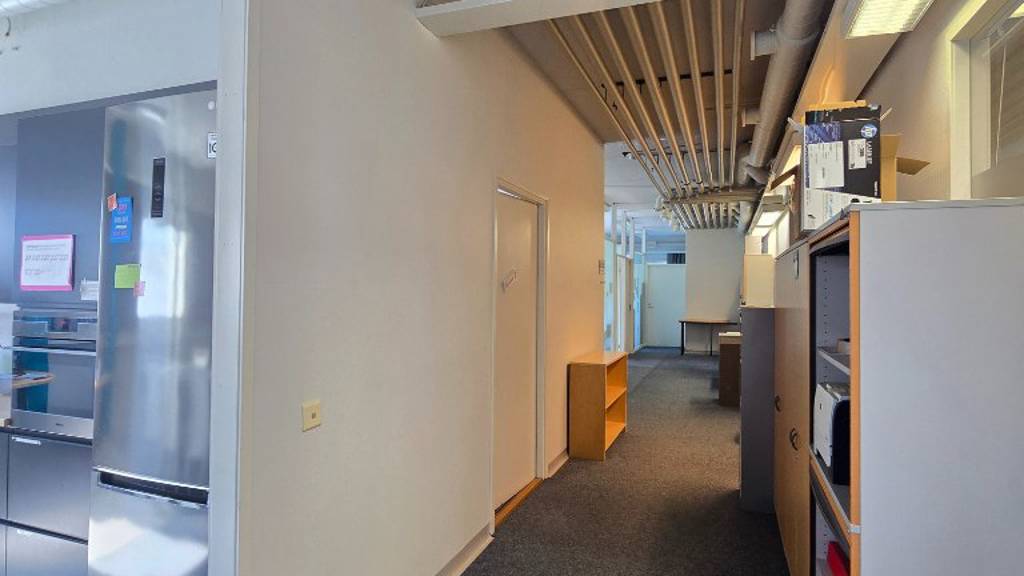 Hallimestarinkatu 17 A