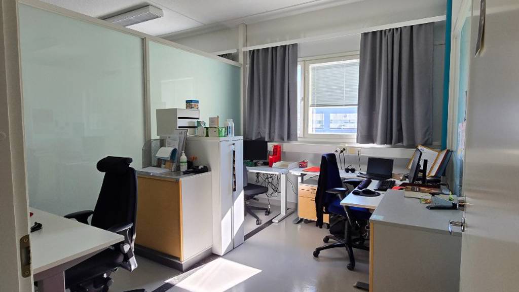 Hallimestarinkatu 17 A