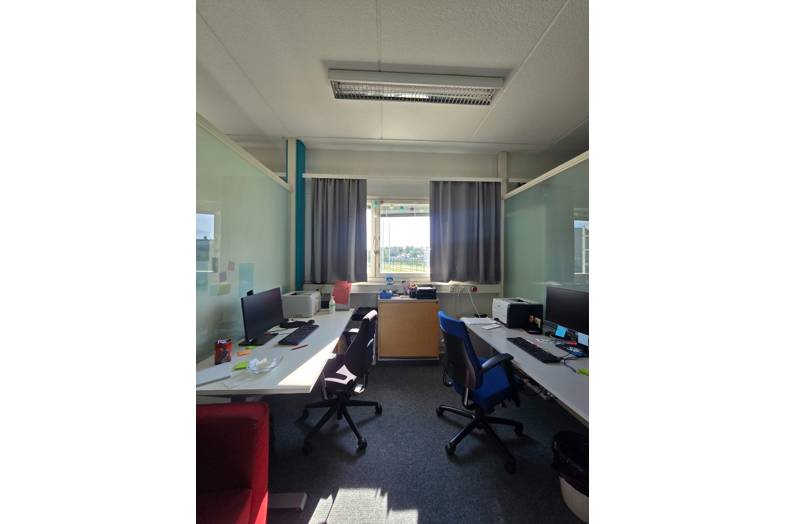 Hallimestarinkatu 17 A