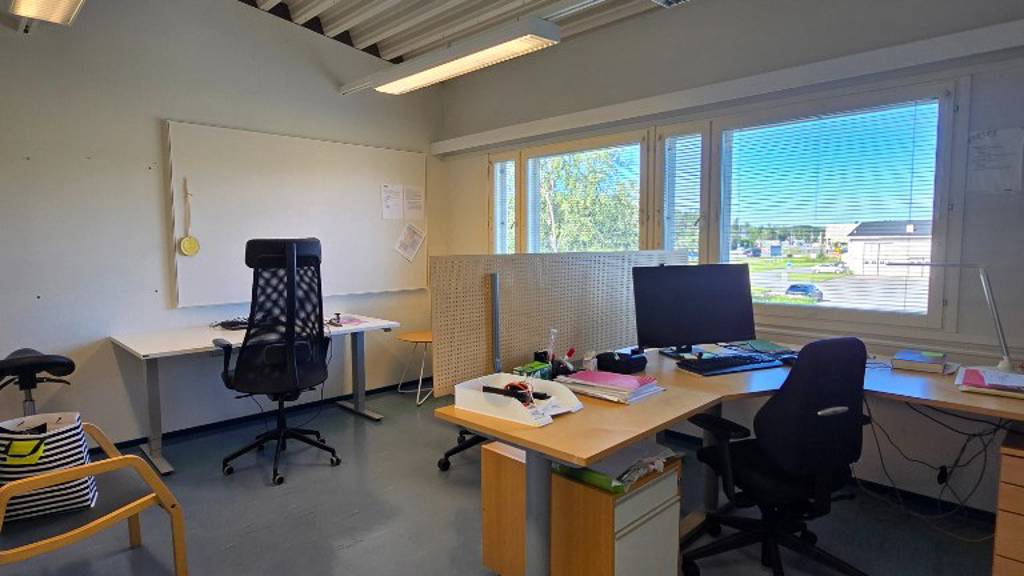 Hallimestarinkatu 17 A