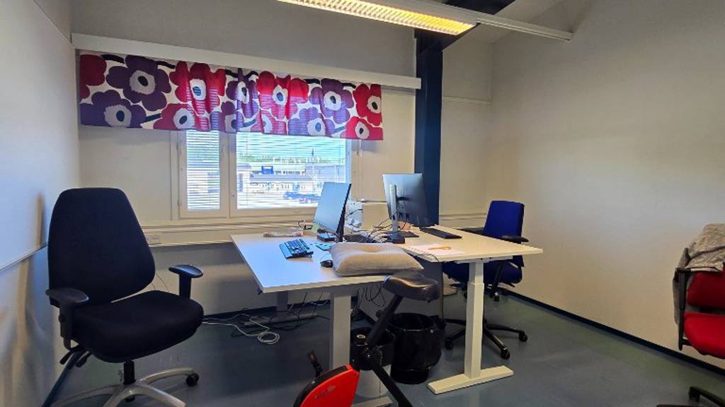 Hallimestarinkatu 17 A