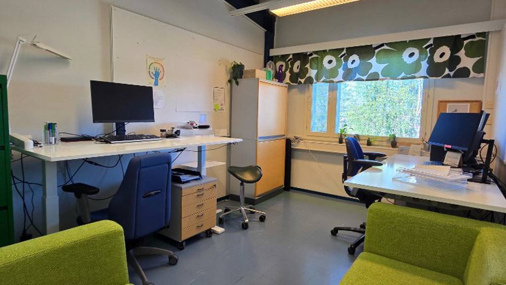 Hallimestarinkatu 17 A