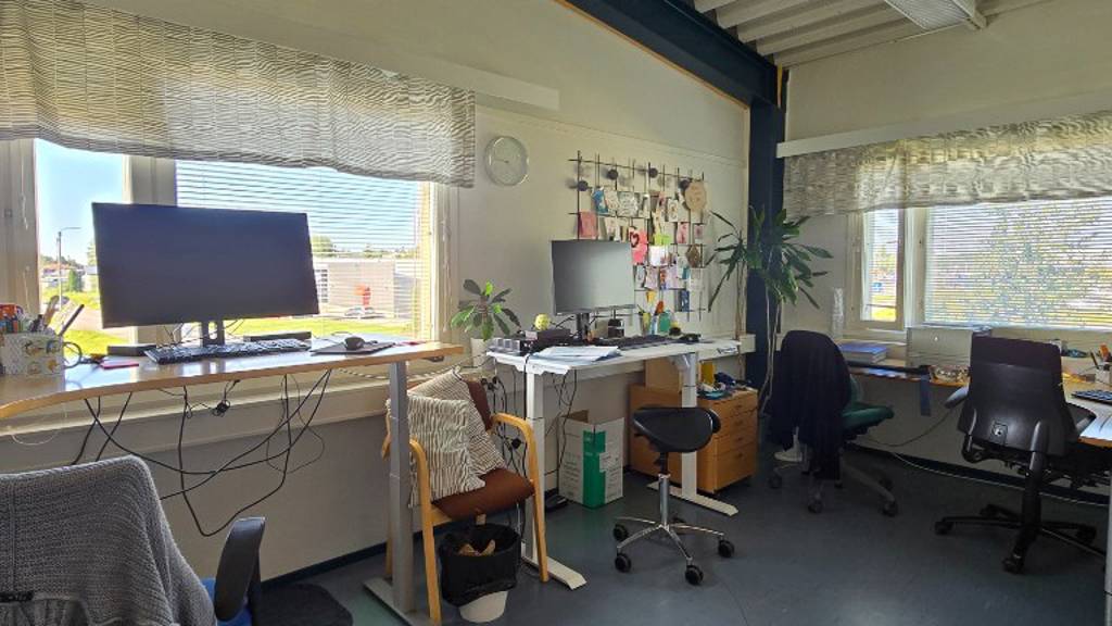 Hallimestarinkatu 17 A