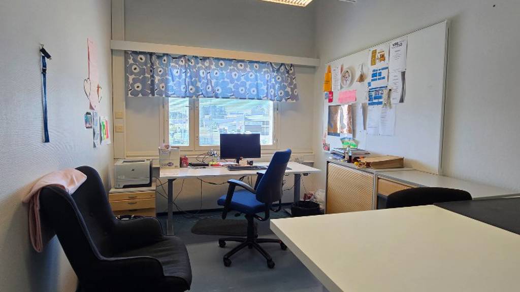 Hallimestarinkatu 17 A