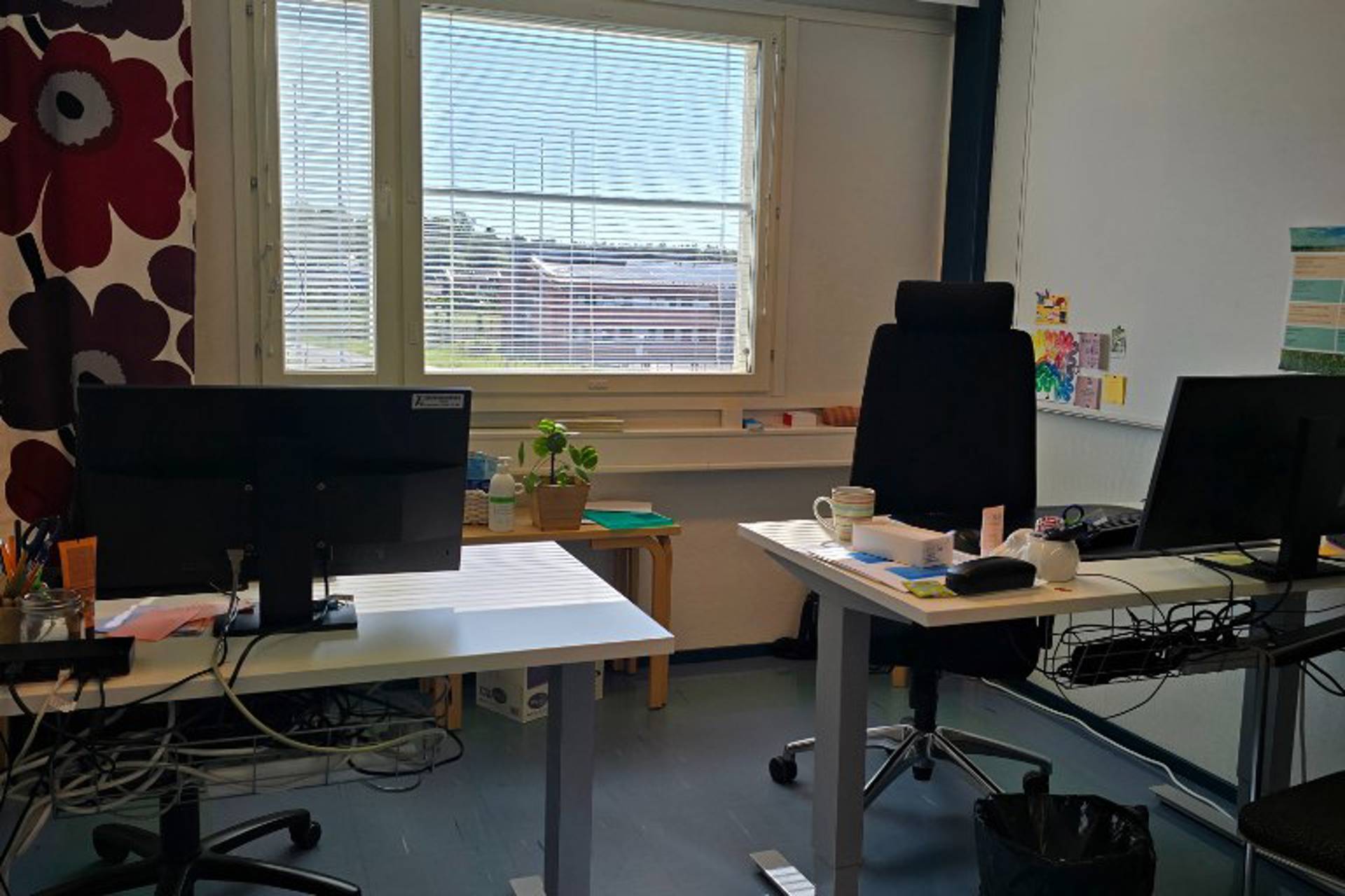 Hallimestarinkatu 17 A