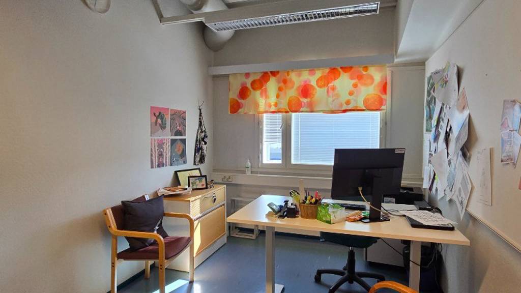 Hallimestarinkatu 17 A