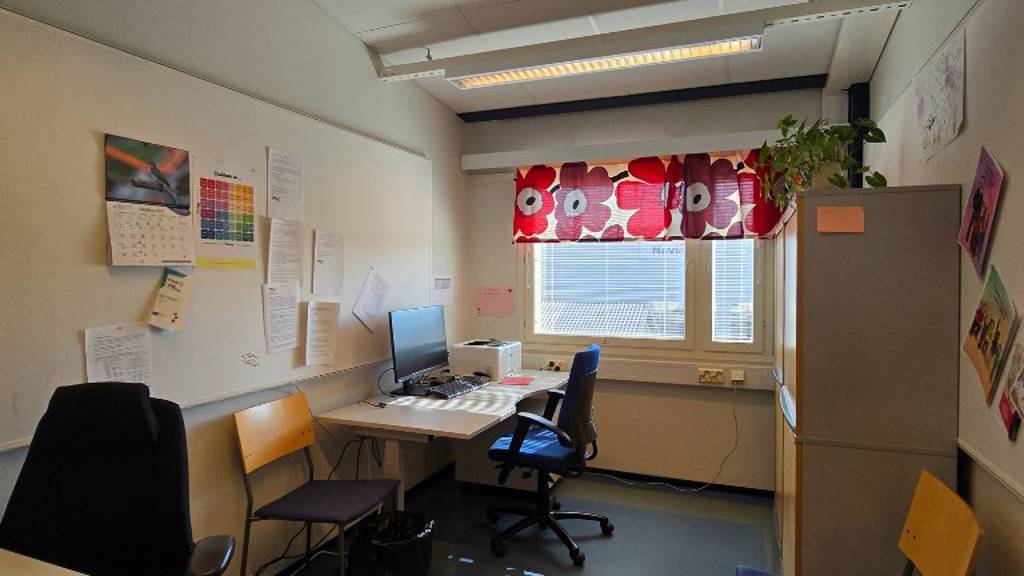 Hallimestarinkatu 17 A