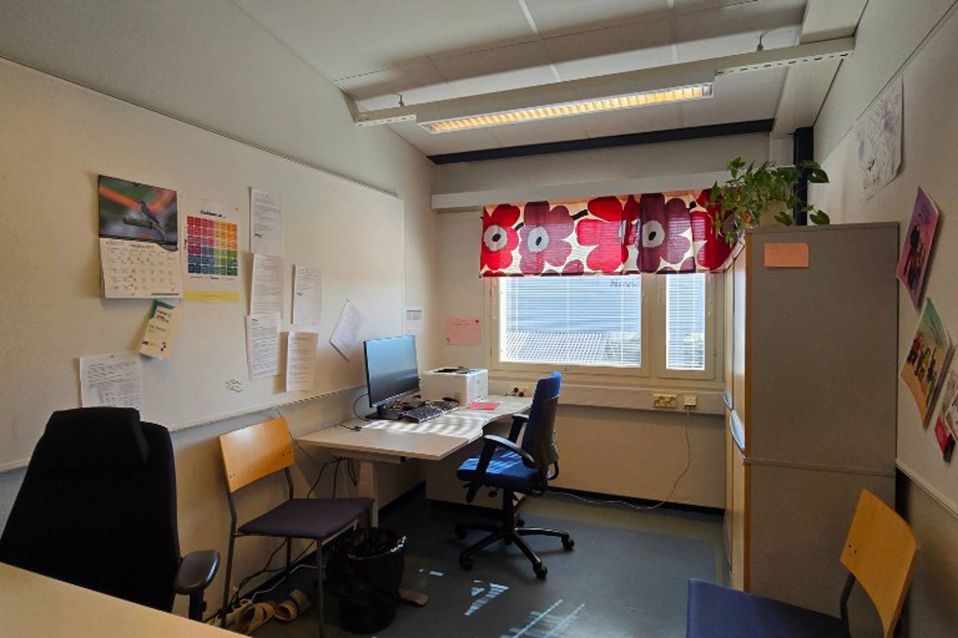 Hallimestarinkatu 17 A