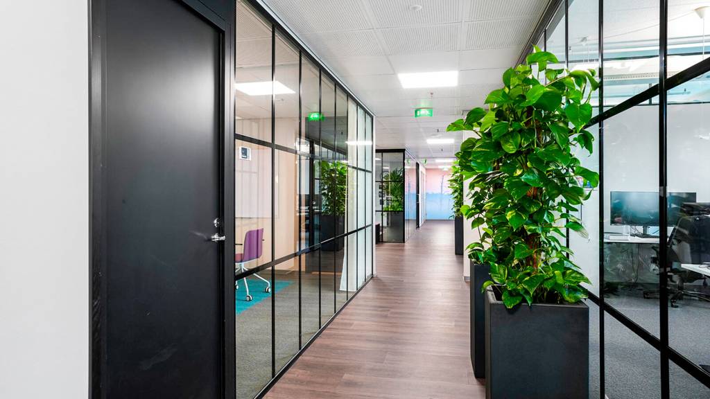 Kohdekuva 5 Hatanpään Valtatie 24