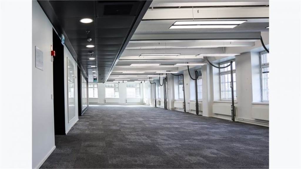 John Stenbergin ranta 2