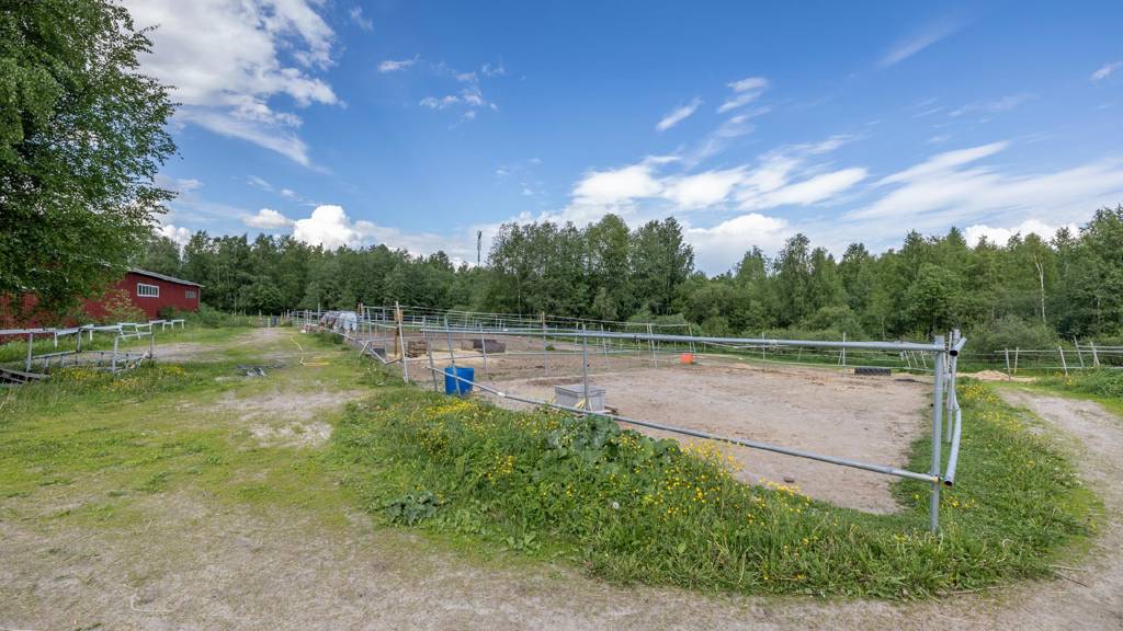 Maneesin takana olevia tarhoja Ratsutilantie 1