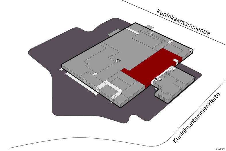 Kuninkaantammenkierto 3