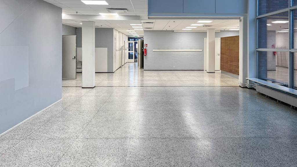 Kohdekuva 8 Kuninkaantammenkierto 3