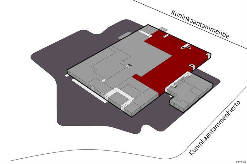 Kuninkaantammenkierto 3