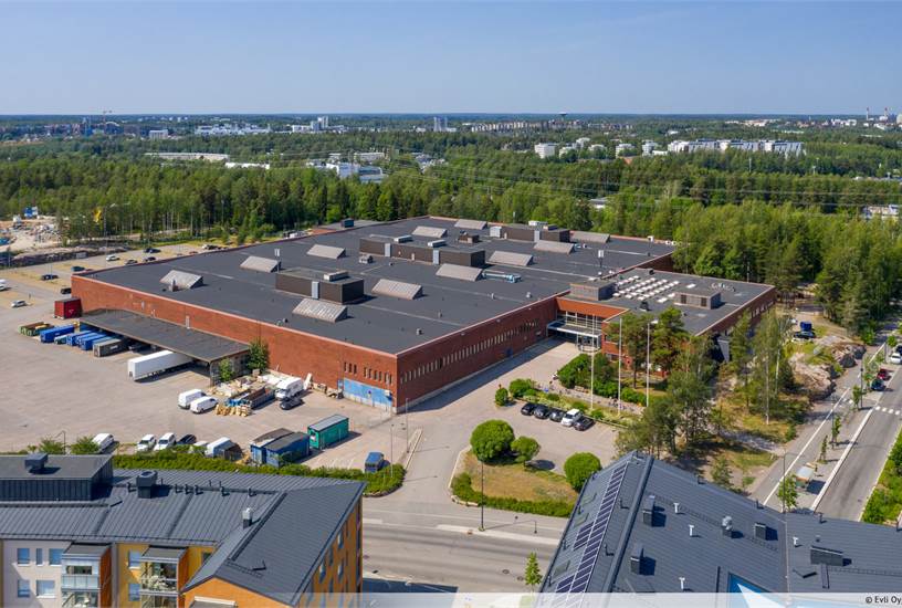 Kuninkaantammenkierto 3