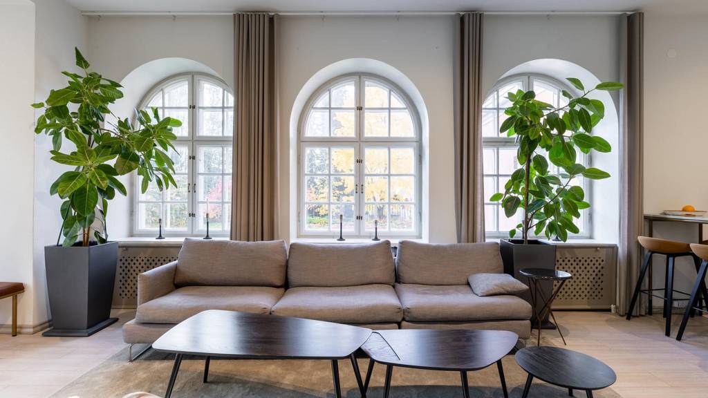 Schaumanin puistotie 1