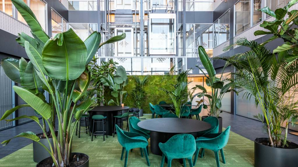 Kohdekuva 6 Itsehallintokuja 4