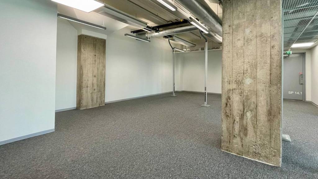 Juhana Herttuan Puistokatu 21