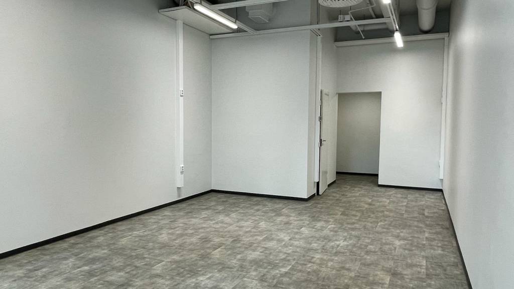 Kalevan Puistotie 24