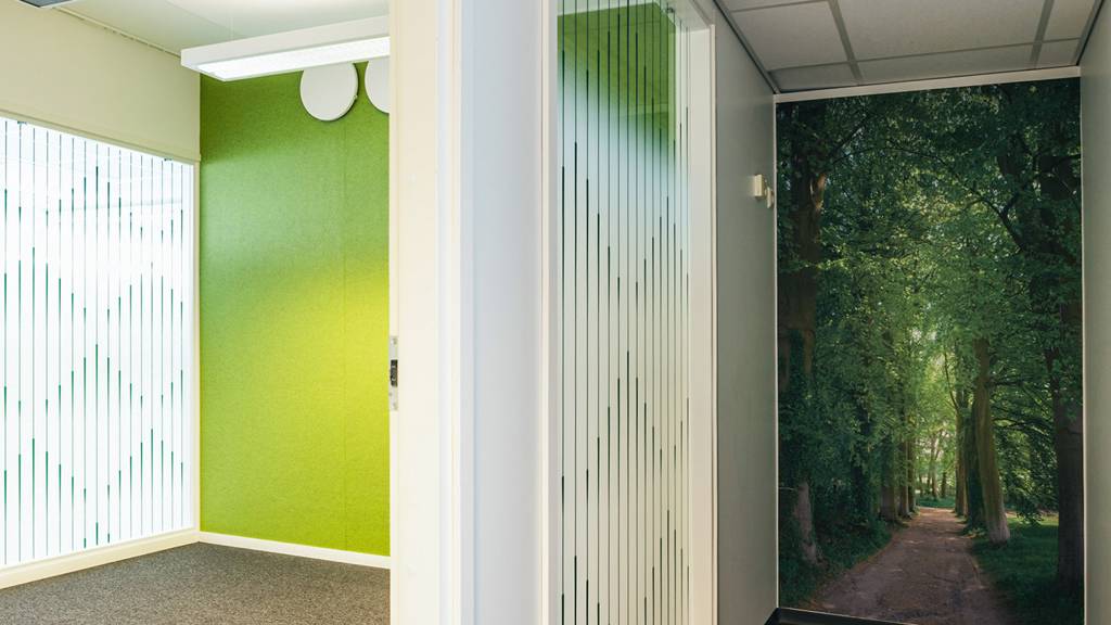 Kohdekuva 7 Vapaudenkatu 48-50